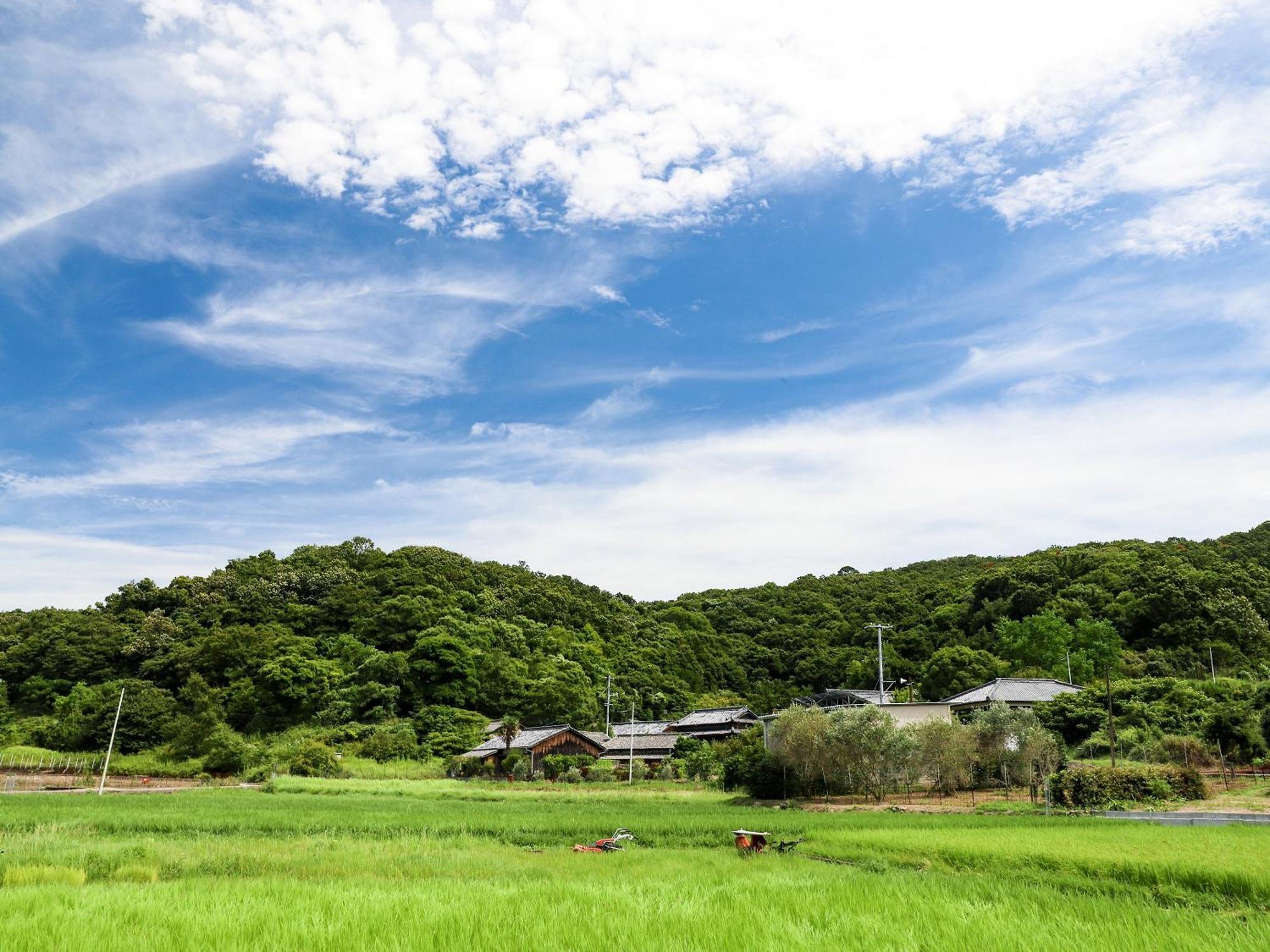 Villa オリーブ農家の家 お泊り忠左衛門 吉野 Shōdoshima Esterno foto